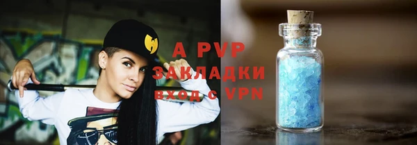 бошки Богданович