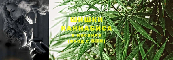 бошки Богданович