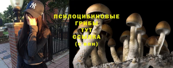 кристаллы Богородск